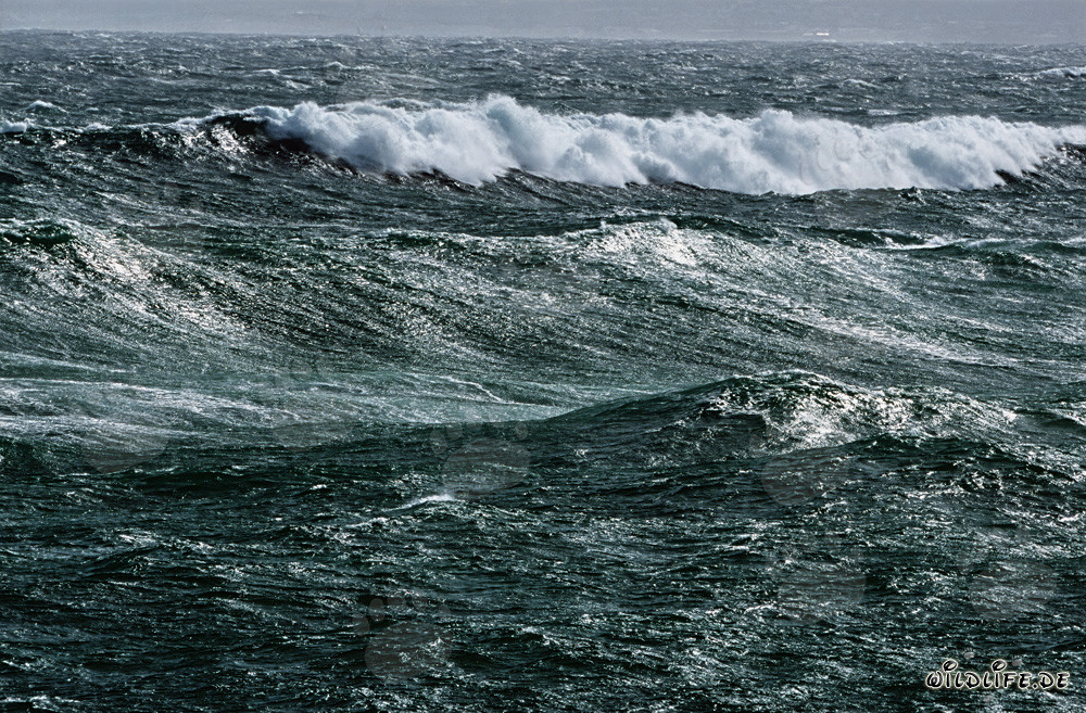Storm and High Waves at the Southern Tip of Africa