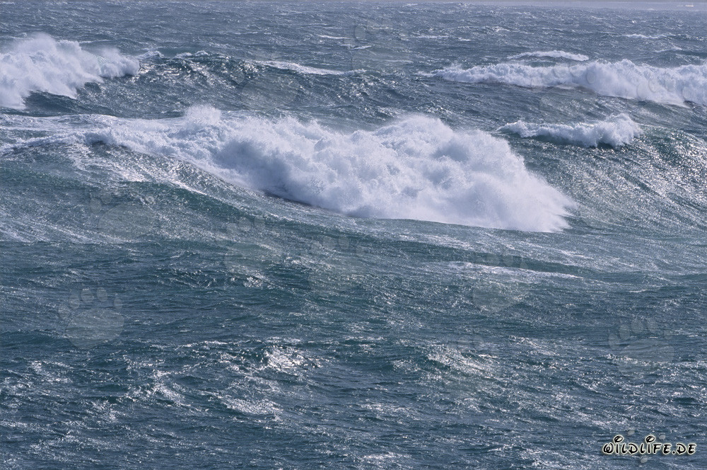 Storm and Heavy Breakers at the Southern Tip of Africa