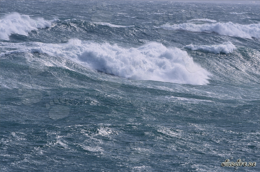 Tempesta e onde pesanti alla punta meridionale dell'Africa