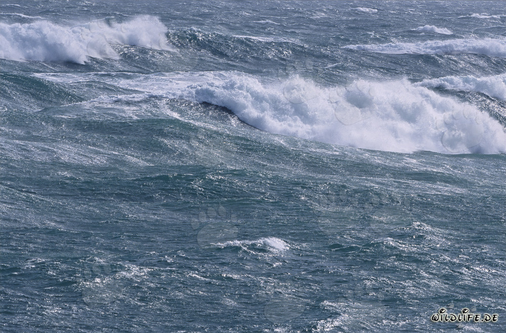 Atlántico Sur agitado - Tormenta y olas en el extremo sur de África