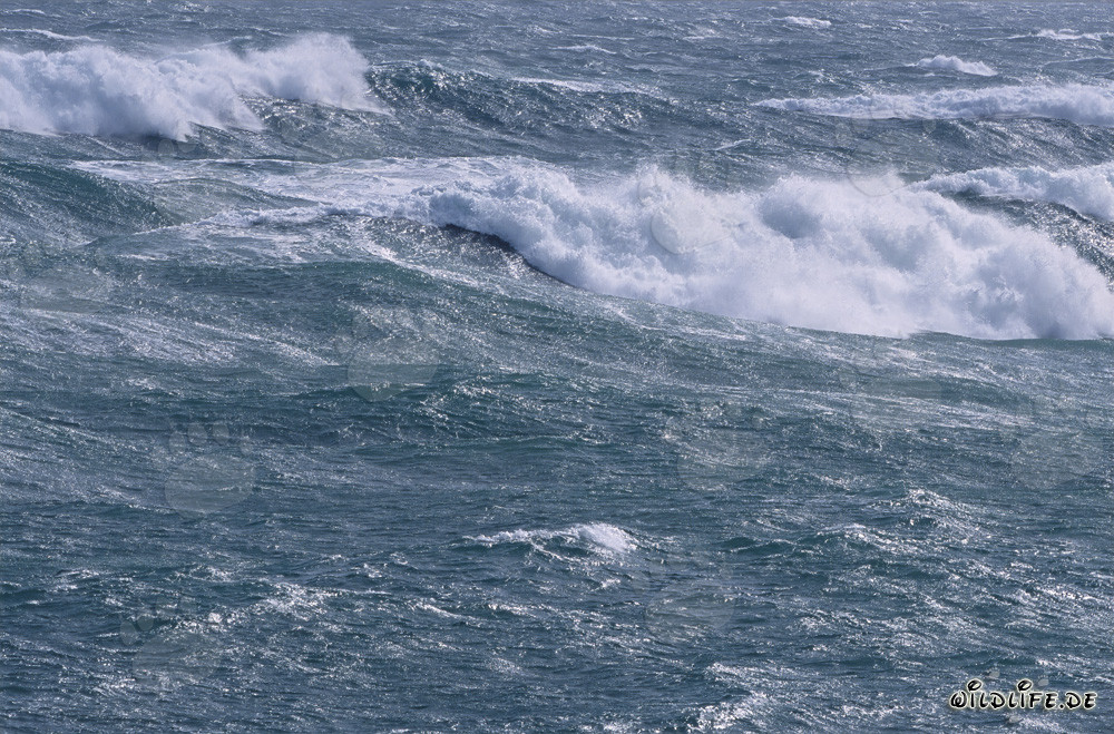 Atlantico Sud agitato - Tempesta e onde alla punta sud dell'Africa