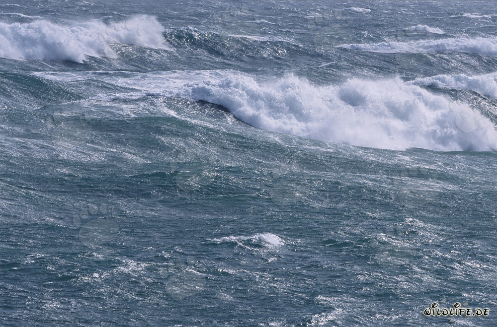 Restless South Atlantic - Storm and Waves at the Southern Tip of Africa