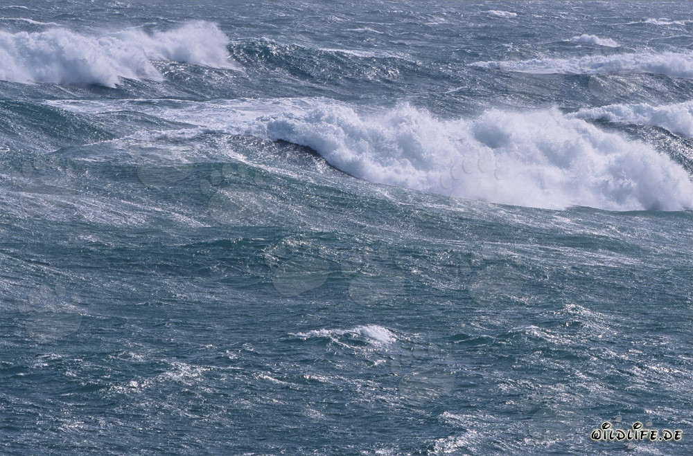 Atlantique Sud agité - Tempête et vagues au bout sud de l'Afrique