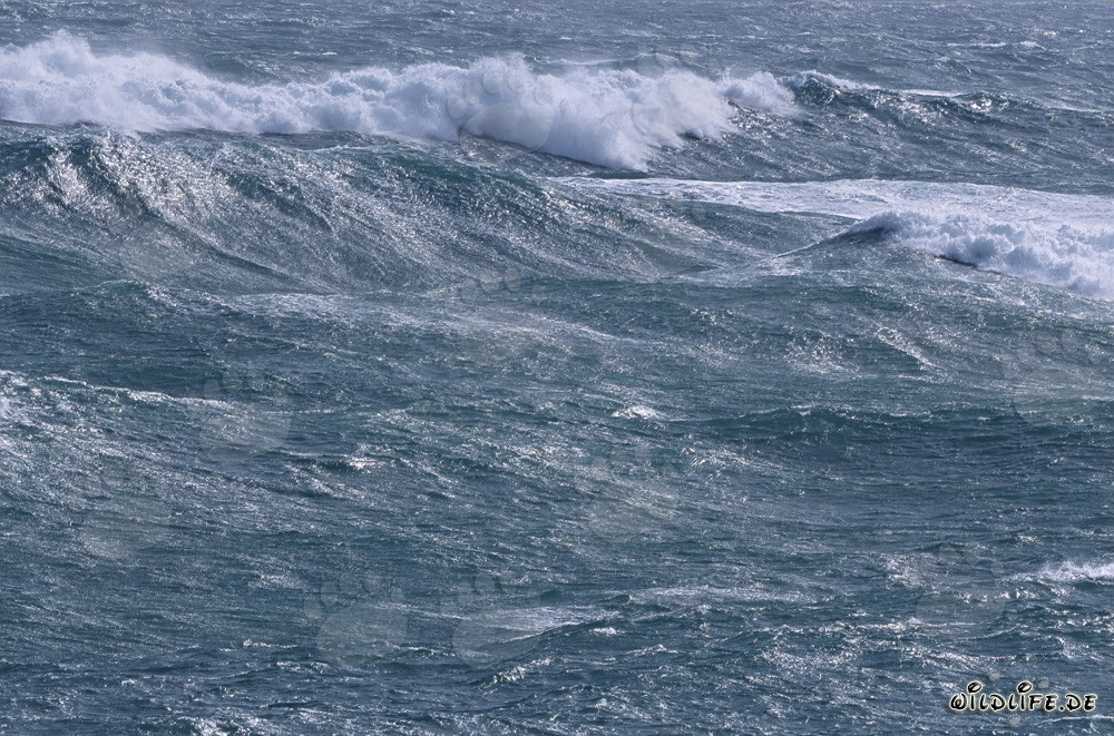 Storm and High Waves at the Southernmost Point of Africa