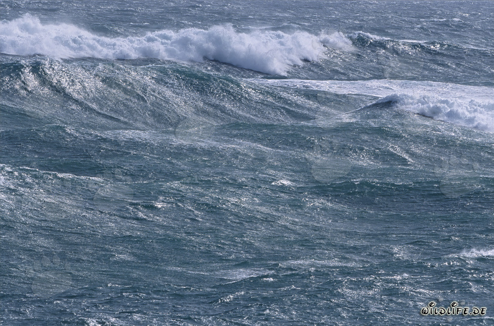Sturm und hohe Wellen am südlichsten Punkt Afrikas