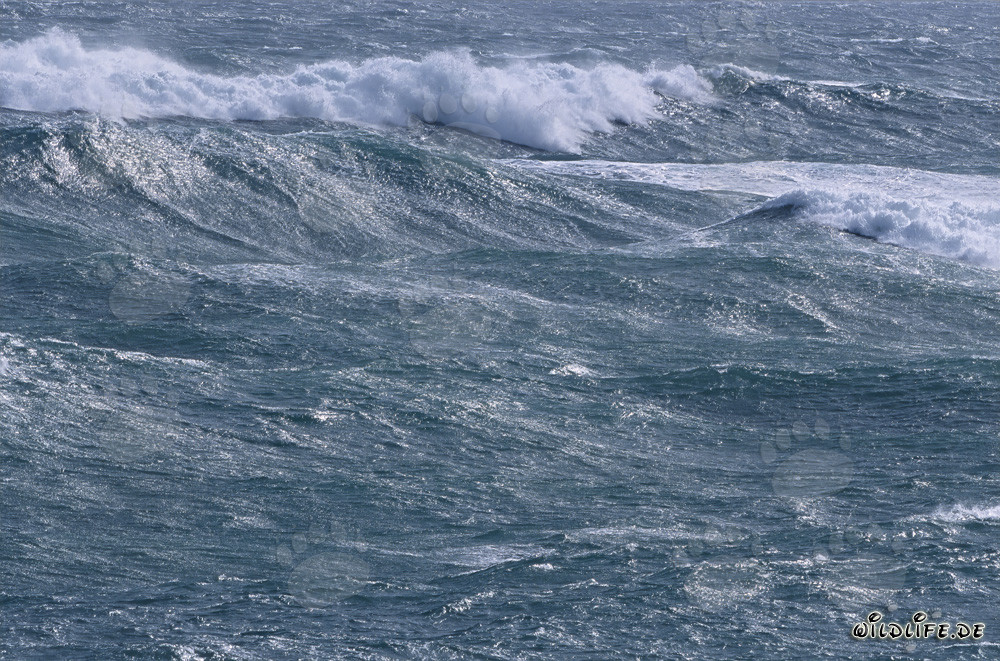 Tempesta e onde alte al punto più a sud dell'Africa