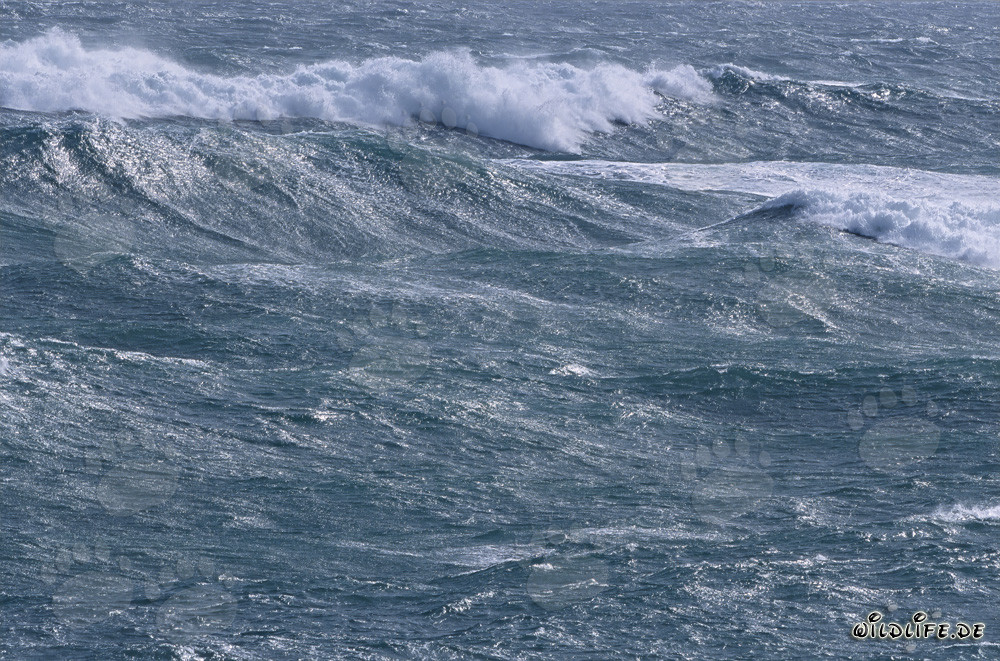 Tempête et hautes vagues au point le plus au sud de l'Afrique