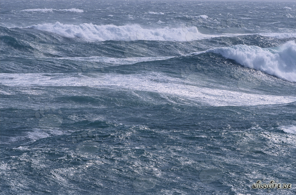 Potenti onde di tempesta al Capo Sud dell'Africa