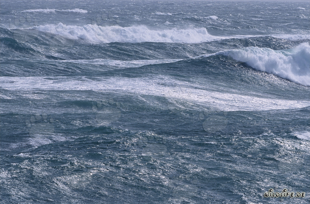 Mächtige Sturmwellen an der Südspitze Afrikas