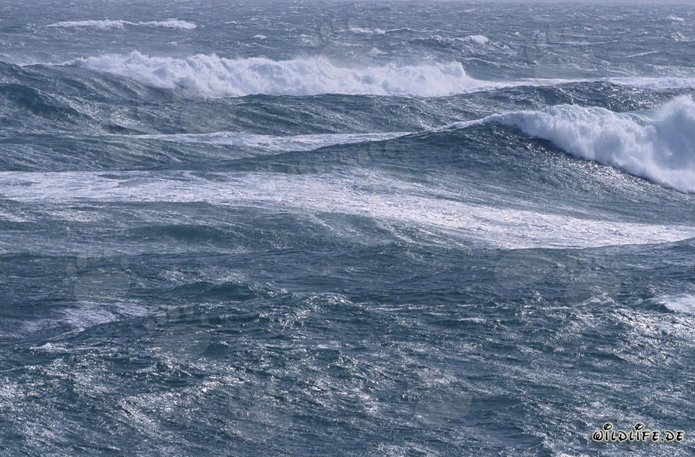 Puissantes vagues de tempête au cap Sud de l'Afrique