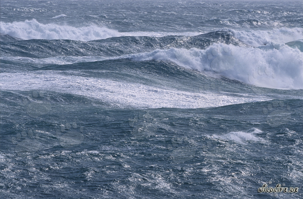 Mer agitée à la pointe sud de l'Afrique