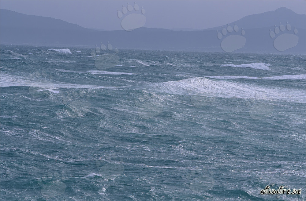 Mare tempestoso all'estremità meridionale dell'Africa