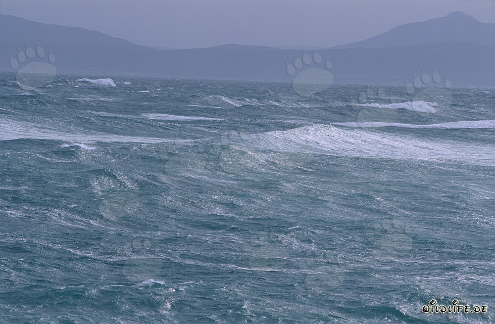 Mer agité au cap sud de l'Afrique
