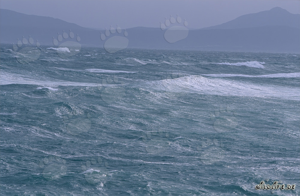 Stürmisches Meer an der Südspitze Afrikas