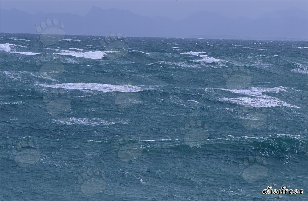 Stürmische See am Kap Agulhas, Südafrika