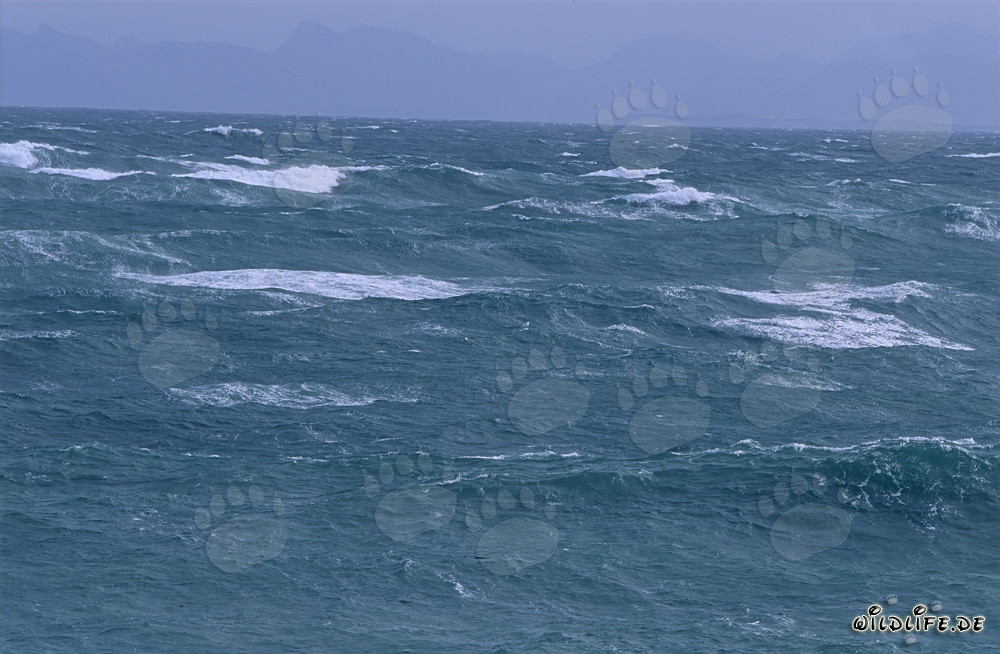 Mare in tempesta al Capo Agulhas, Sudafrica