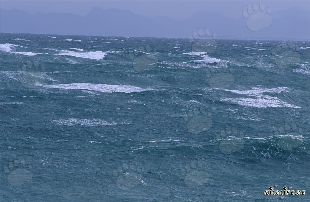 Mer agitée au Cap Agulhas, Afrique du Sud