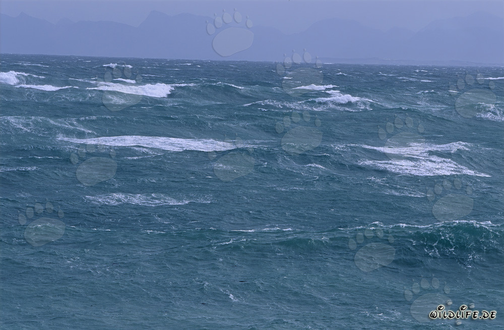 Mar tempestuoso en el Cabo Agulhas, Sudáfrica