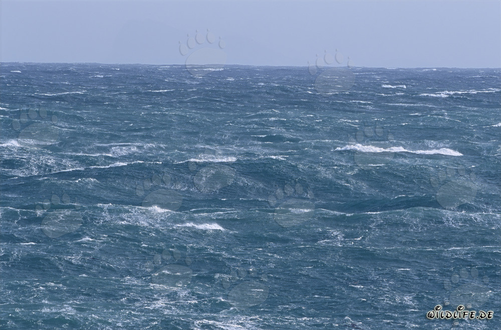 Mar tempestuoso en el cabo sur de África