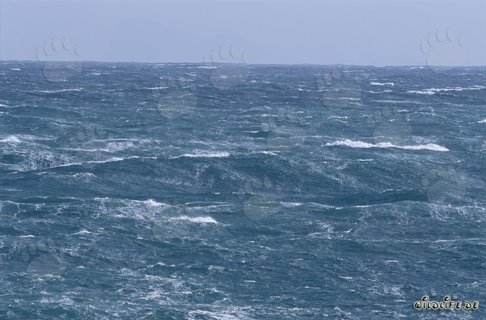Mare in tempesta alla punta sud dell'Africa