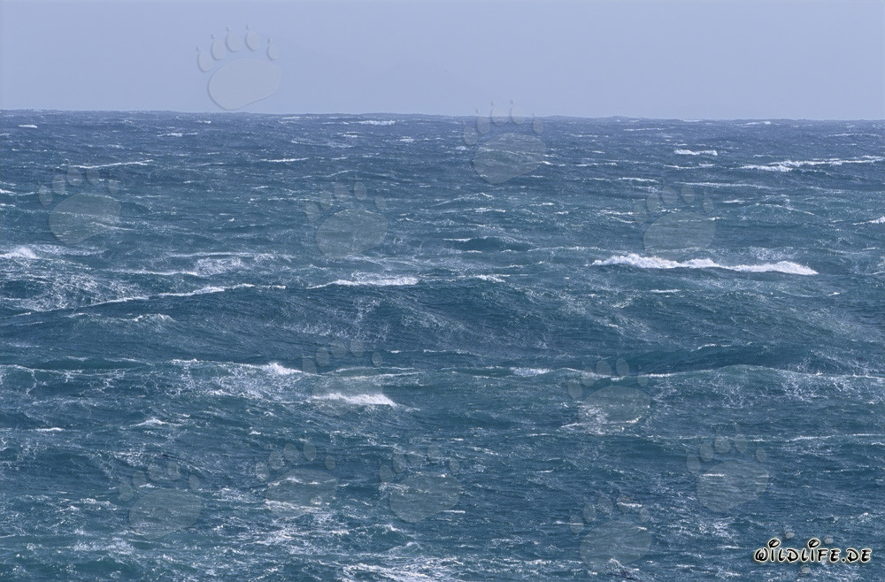 Stormy Seas at the Southern Tip of Africa