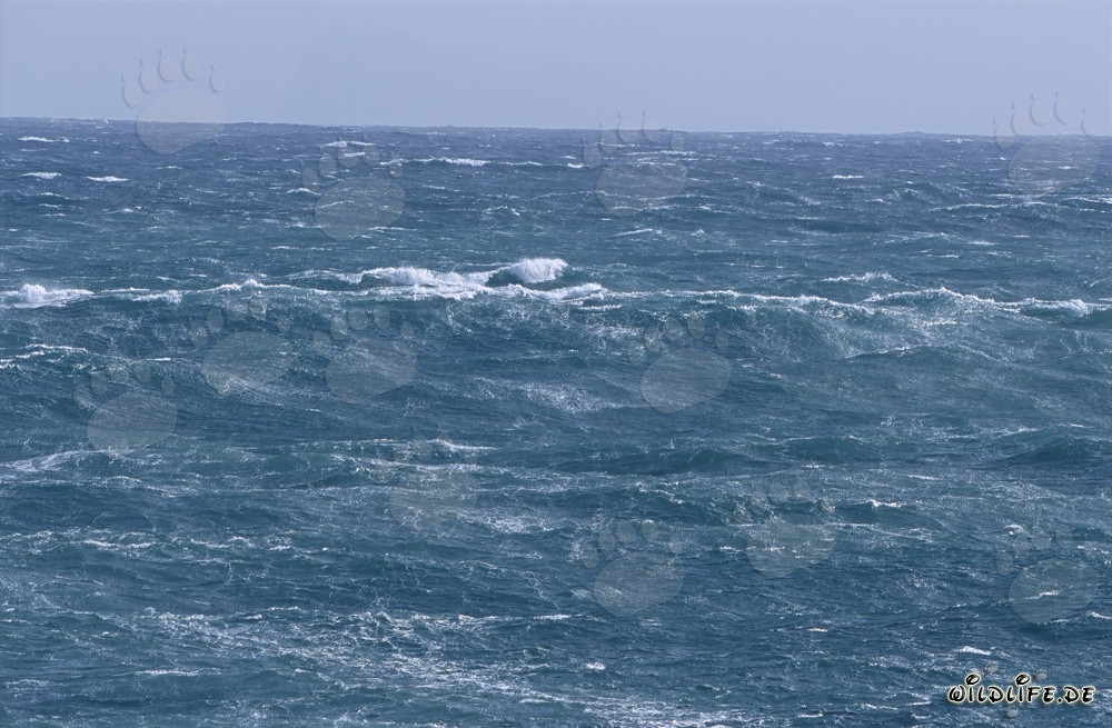 Storm above the sea surface at the southern tip of Africa