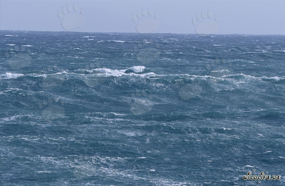 Tempesta sulla superficie del mare alla punta meridionale dell'Africa