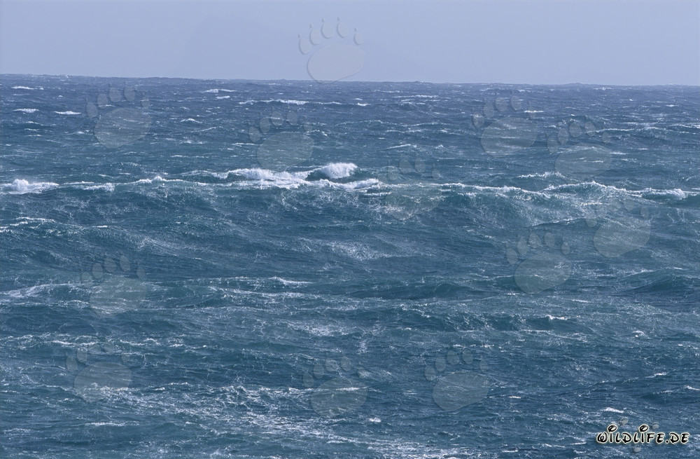 Tempête au-dessus de la surface de la mer au cap de l'Afrique du Sud