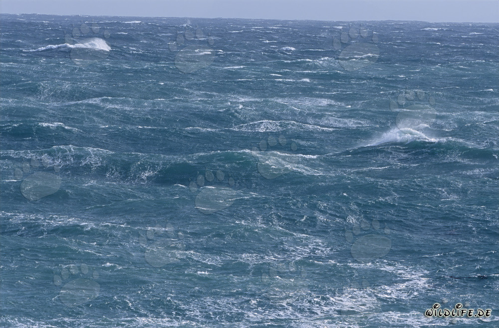 Tempêtes et vagues sauvages au cap sud de l'Afrique