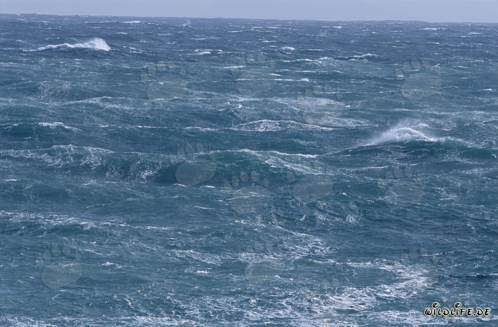 Tormentas y olas salvajes en el extremo sur de África