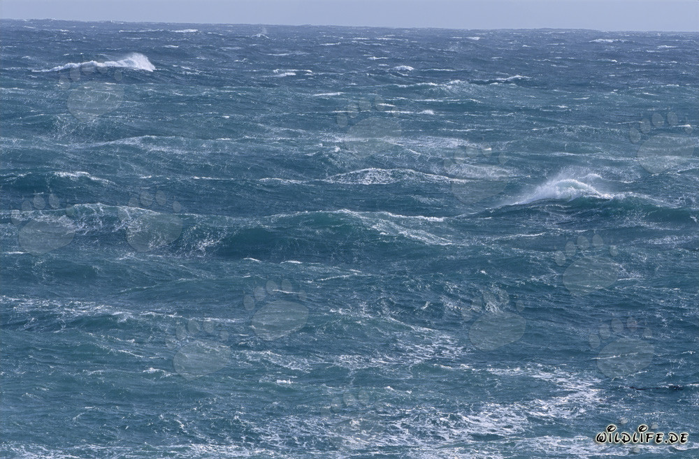Storm and wild waves at the southern tip of Africa