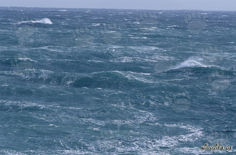 Sturm und wilde Wellen an der Südspitze Afrikas