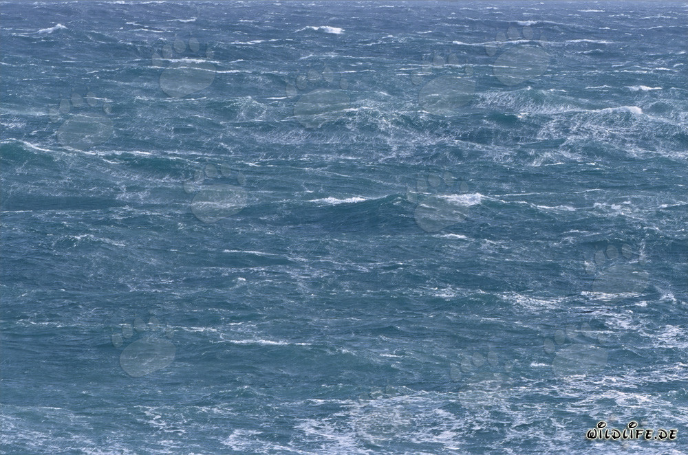 Mar tempestuoso en el Cabo de las Agujas