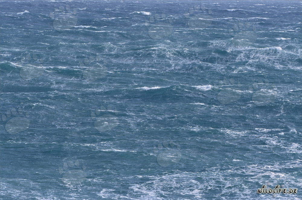 Mare in tempesta al Capo Agulhas