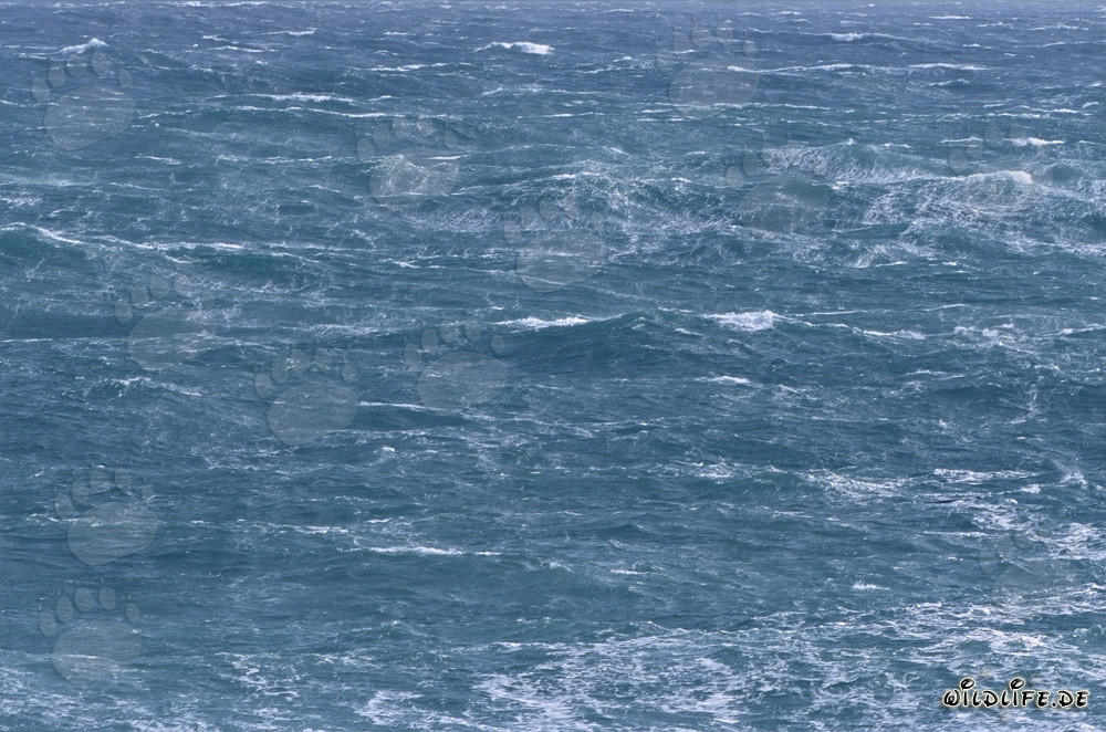 Stormy Sea at Cape Agulhas