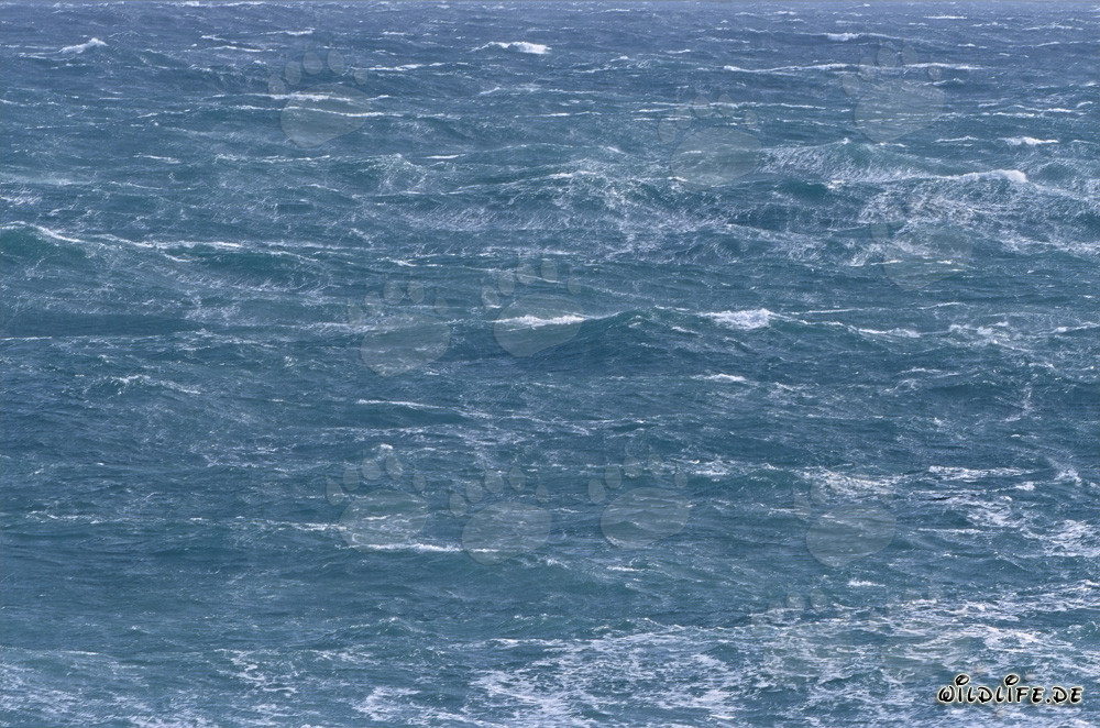 Stürmische See am Kap Agulhas