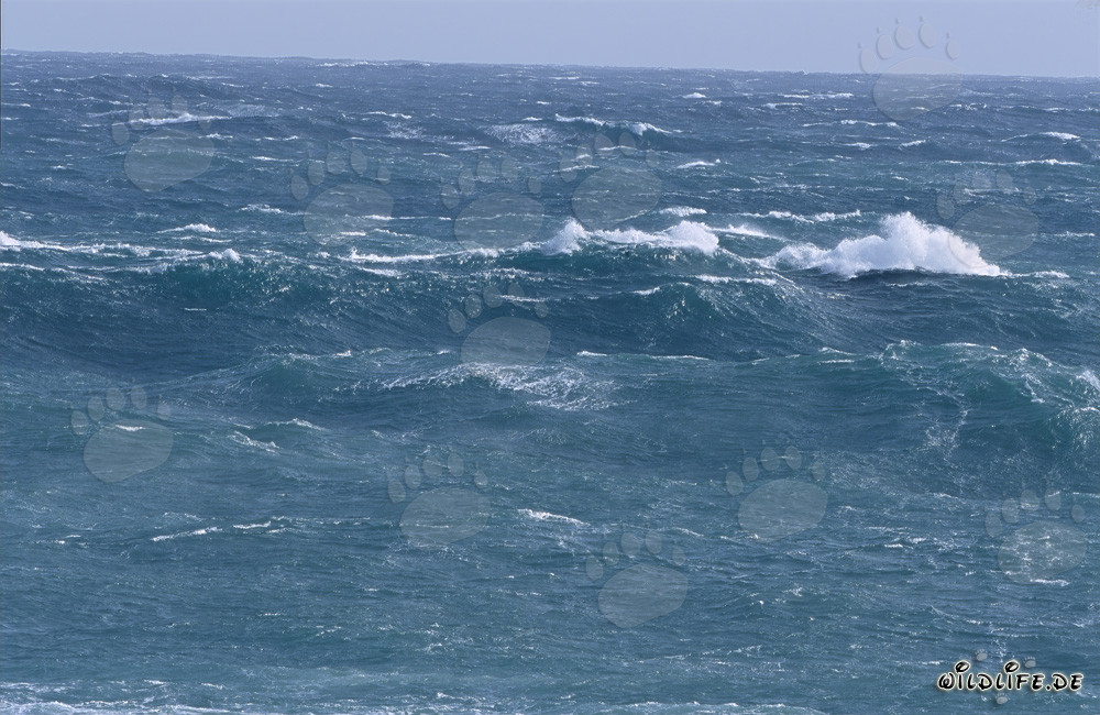 Sturm an der Südspitze Afrikas