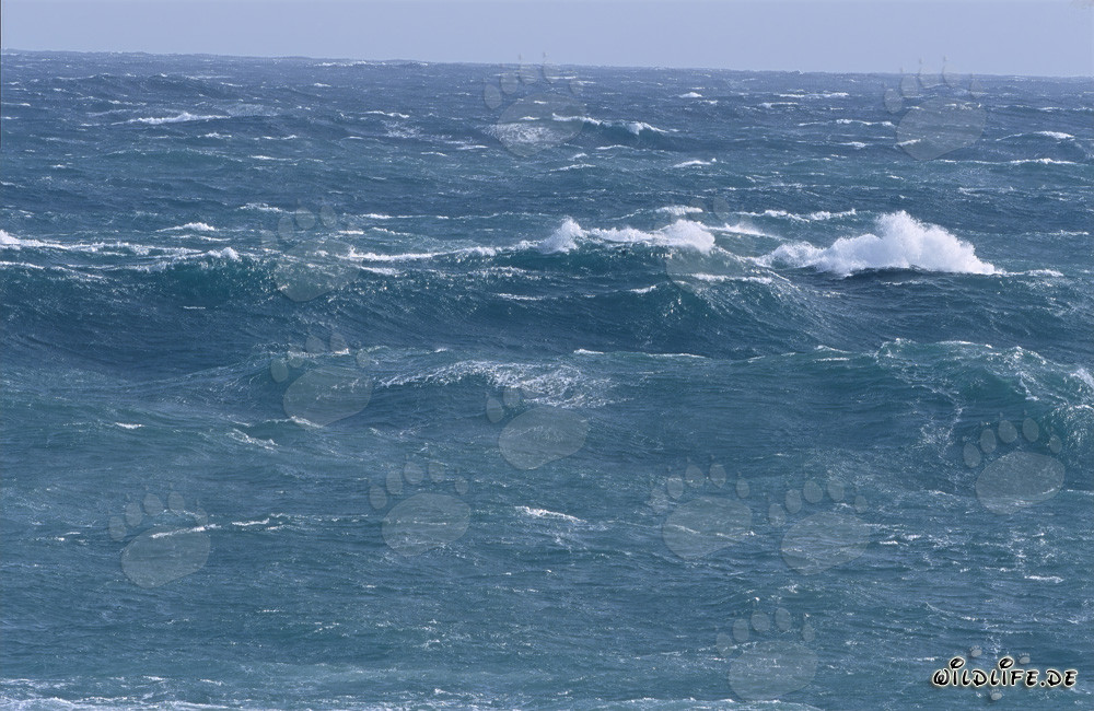 Tormenta en el cabo sur de África