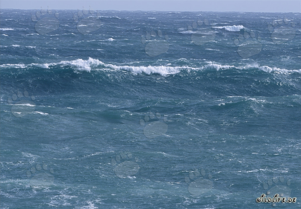 Stürmischer Südatlantik vor Kap Agulhas in Südafrika
