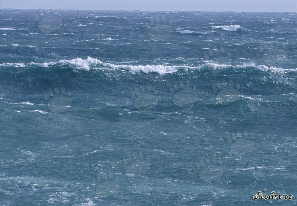 Tempesta nel Sud Atlantico di fronte al Capo Agulhas in Sudafrica