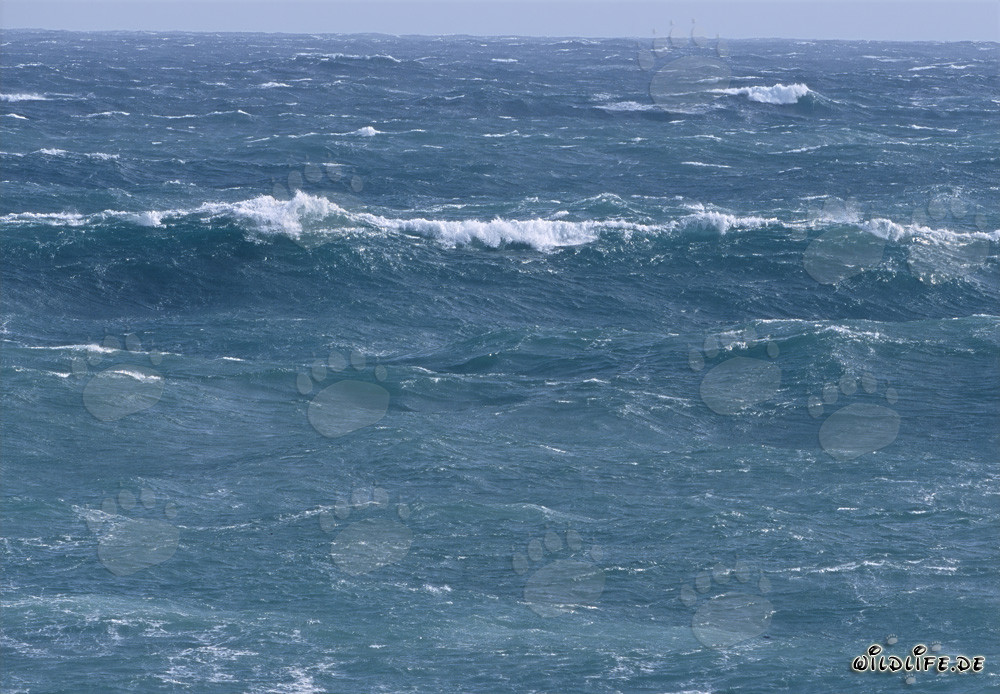 Tempête dans le sud de l'Atlantique près du Cap Agulhas en Afrique du Sud
