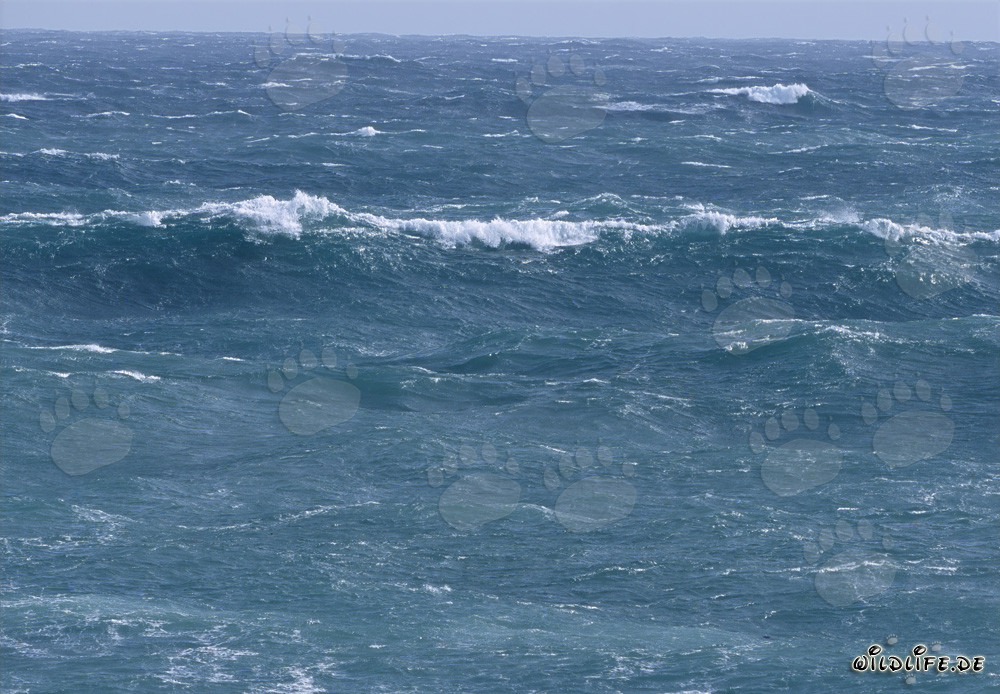 Tormentoso Atlántico Sur frente al Cabo Agulhas en Sudáfrica