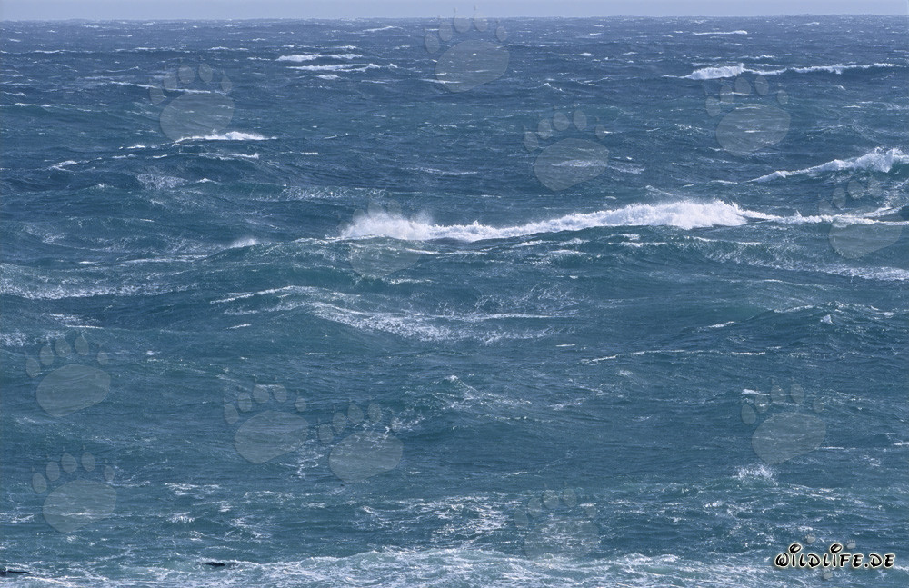Weiße Schaumkronen an der Südspitze Afrikas