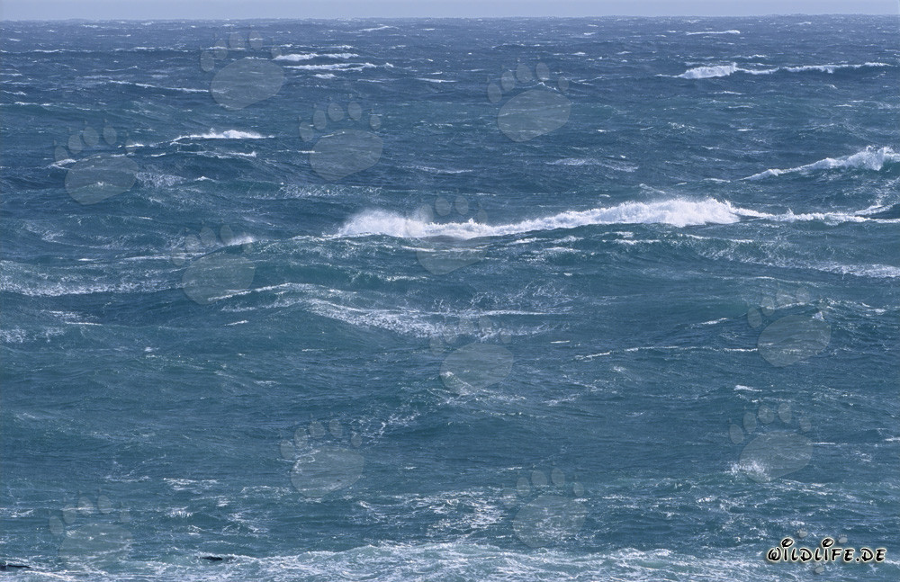 White Foam Caps at the Southern Tip of Africa