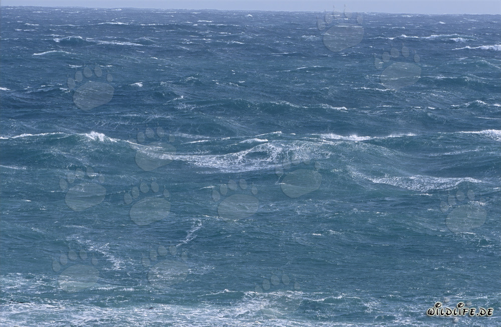 Tempesta e onde alte al Capo di Buona Speranza
