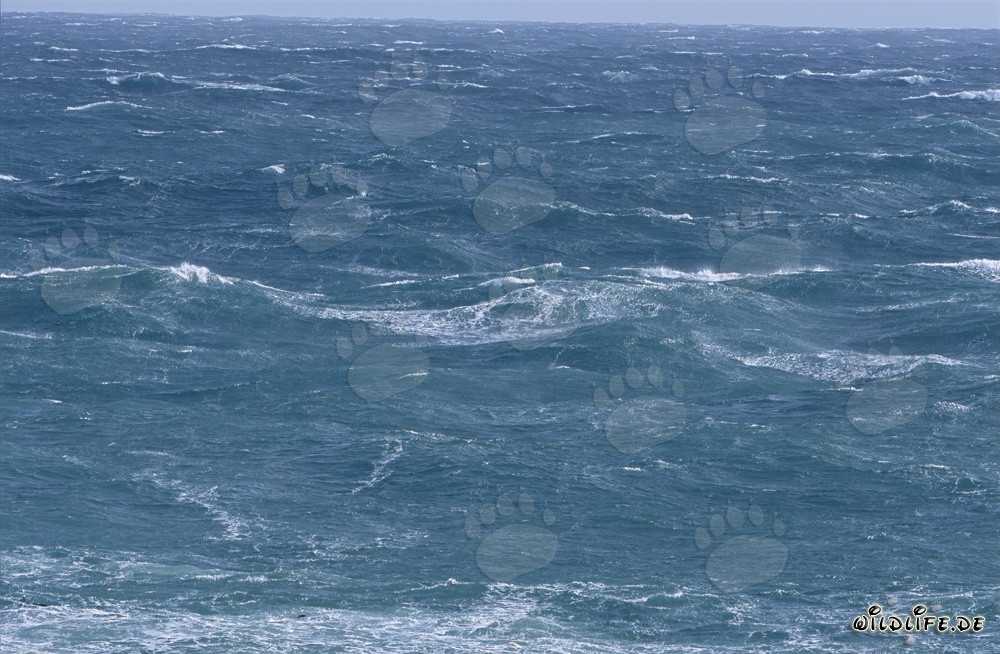 Tempête et hautes vagues au Cap de Bonne-Espérance