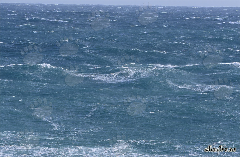 Tormenta y olas altas en el Cabo de Buena Esperanza