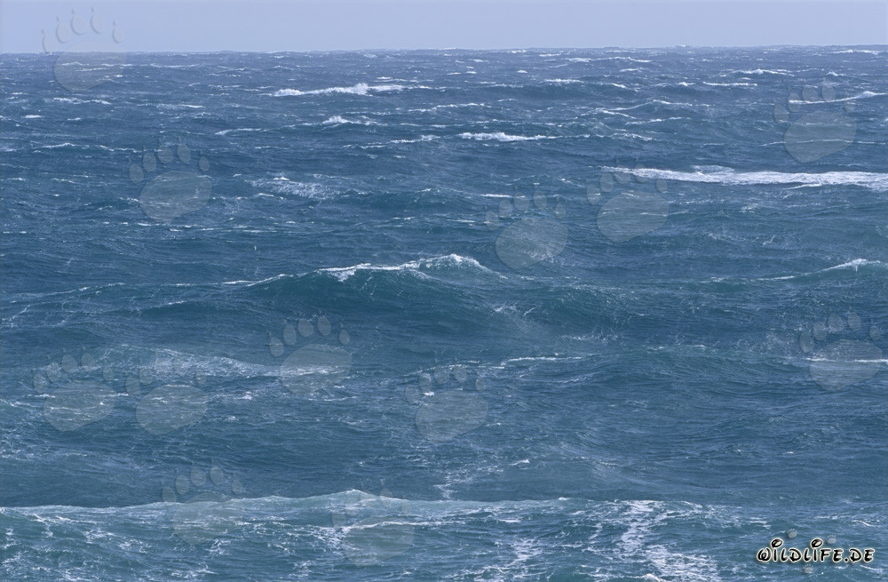 Atlántico tormentoso frente al Cabo Agulhas, Sudáfrica
