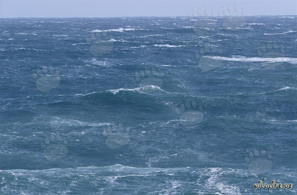 Mer agité au Cap Agulhas, Afrique du Sud