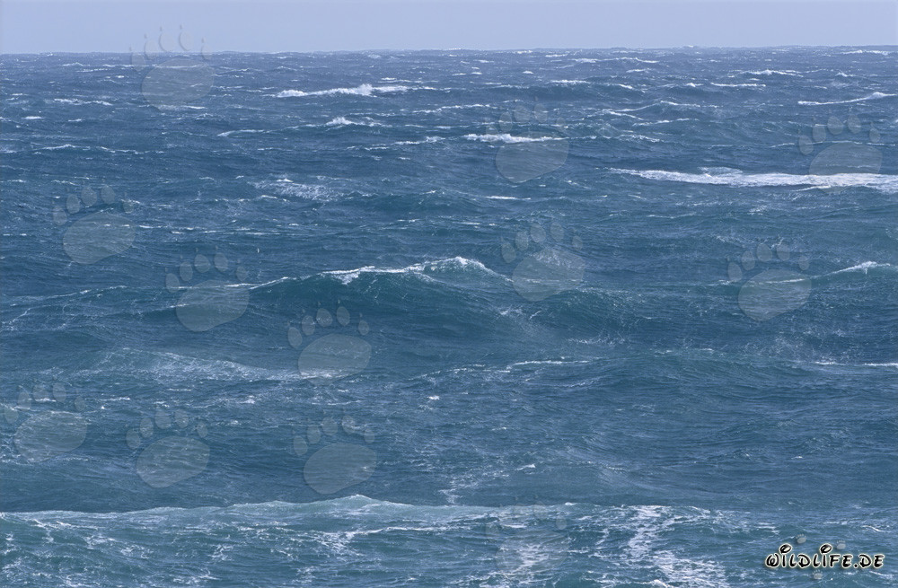 Stormy Atlantic off Cape Agulhas, South Africa